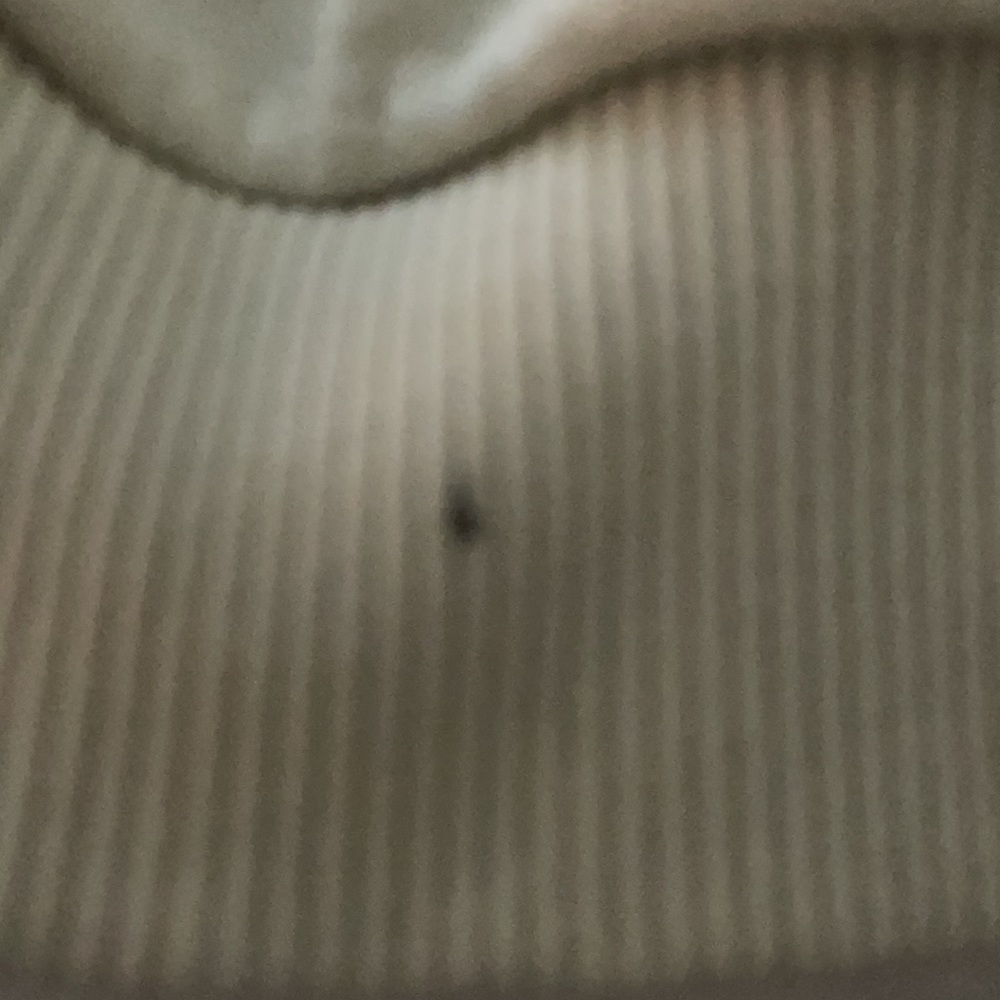 american eagle crewneck - Picture 2 of 4